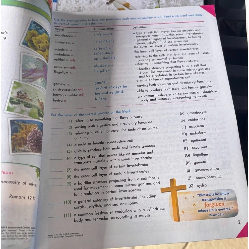 ACE Science 1100  homeschooling workbook